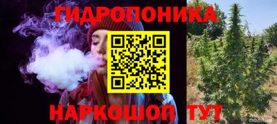 PSILOCYBIN Нальчик